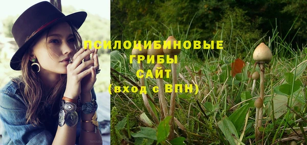 мескалин Алексин