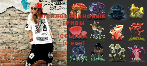 сатива Алексеевка