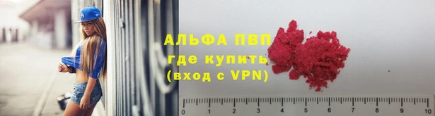 сатива Алексеевка