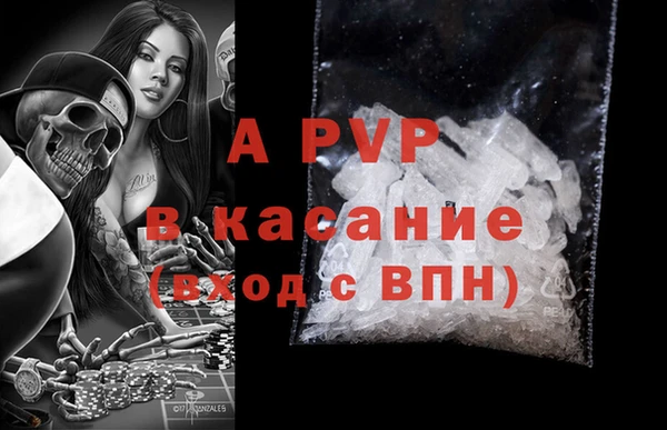сатива Алексеевка