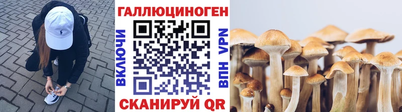 KRAKEN ссылки Лукоянов Галлюциногенные грибы MAGIC MUSHROOMS